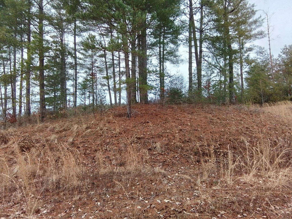 31 Idle Hour Lane Property Photo 4