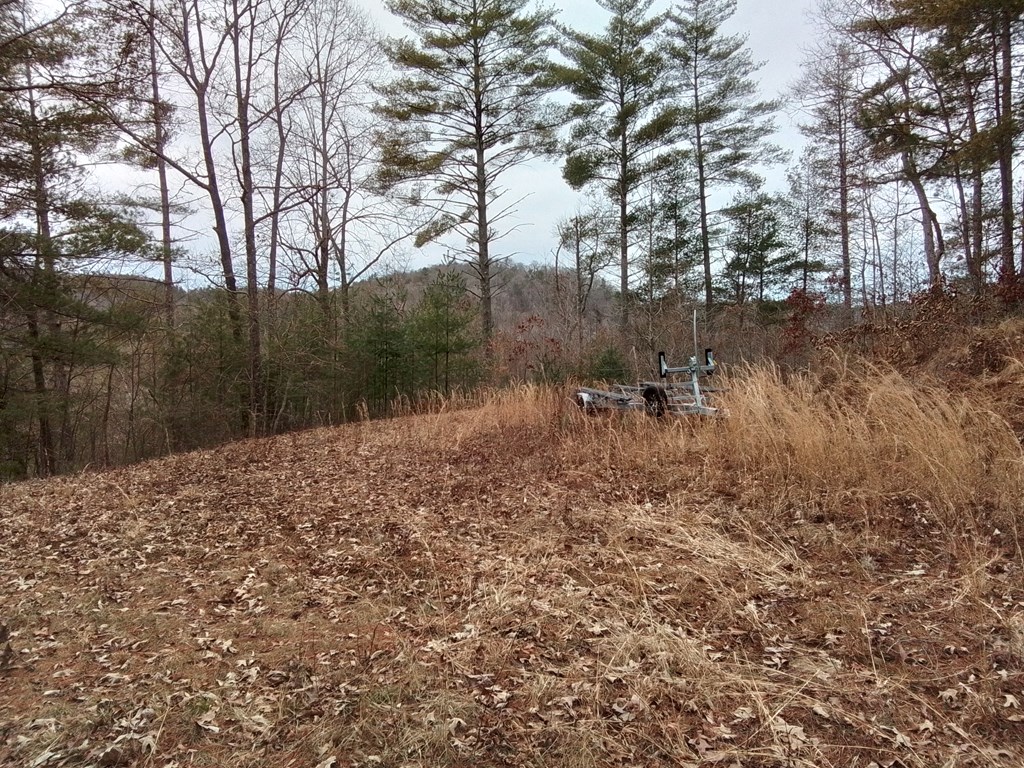 31 Idle Hour Lane Property Photo 7