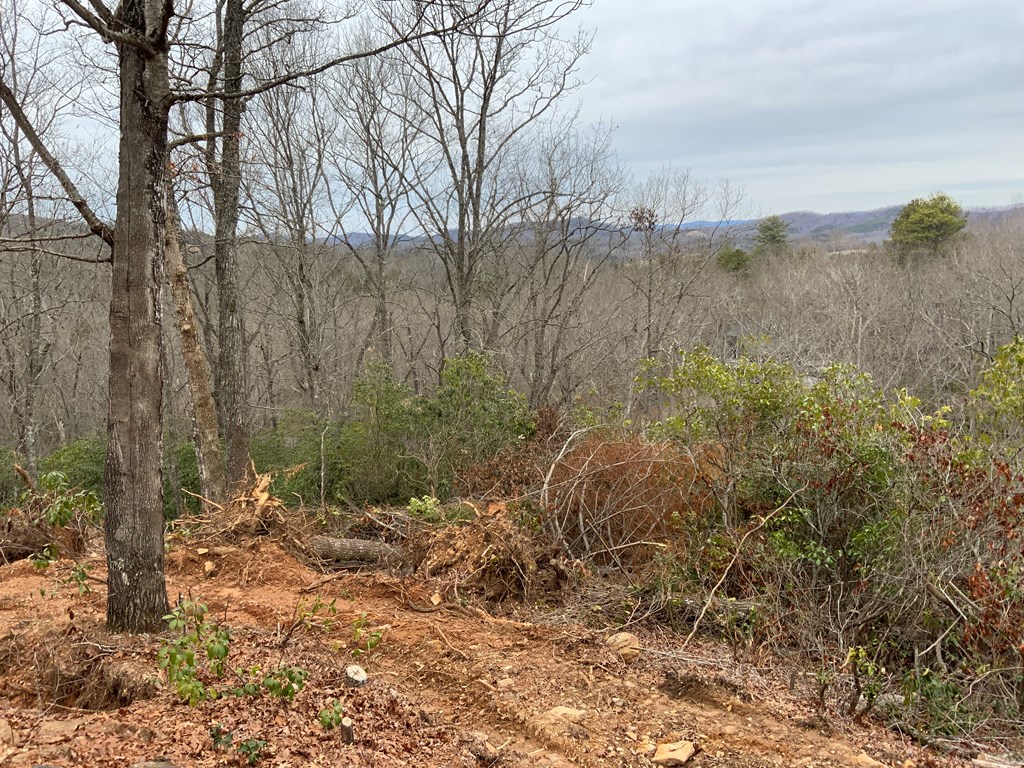 Lot 46 Fiddlers Way Property Photo 2