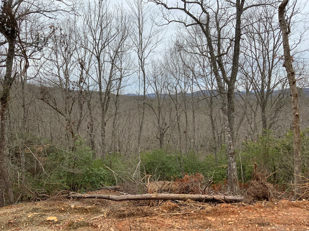 Lot 46 Fiddlers Way Property Photo 3