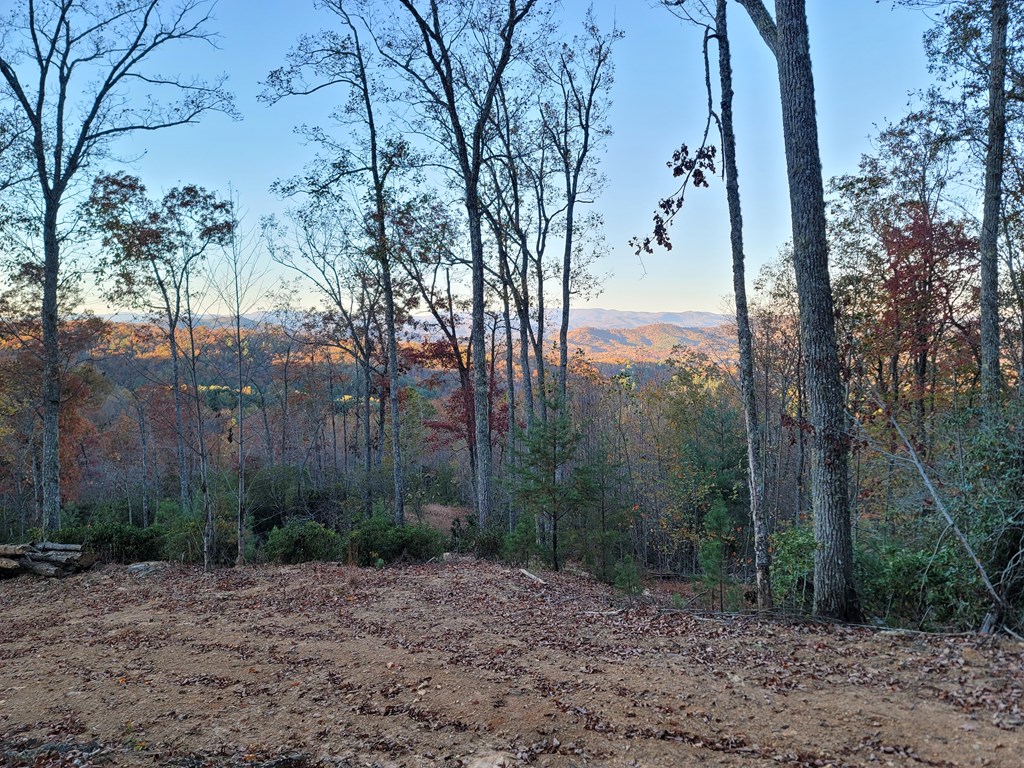 300 Sequoyah Lane Property Photo 4