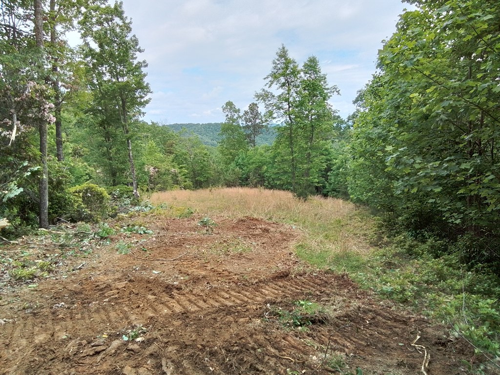 300 Sequoyah Lane Property Photo 8