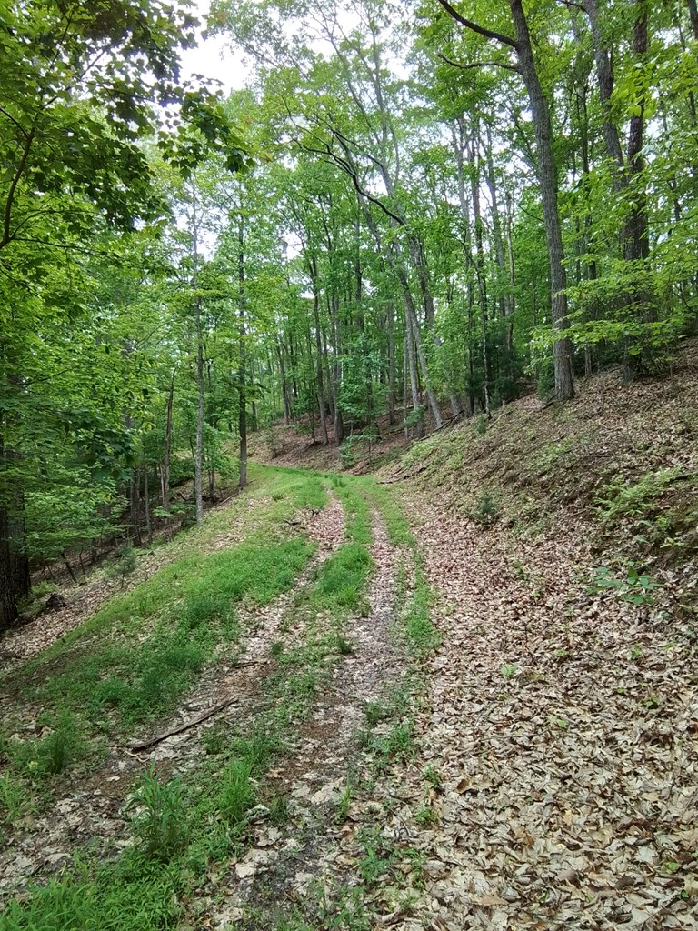300 Sequoyah Lane Property Photo 11