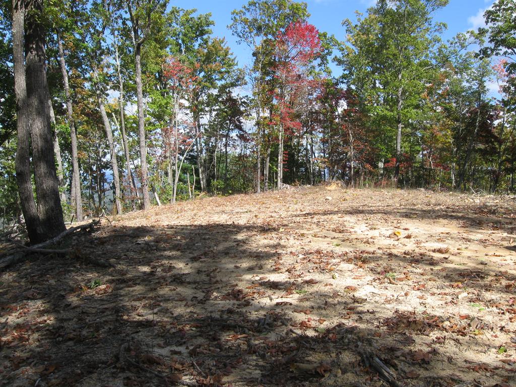 300 Sequoyah Lane Property Photo 15