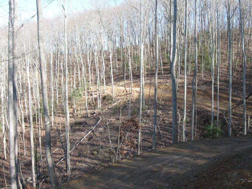 300 Sequoyah Lane Property Photo 16