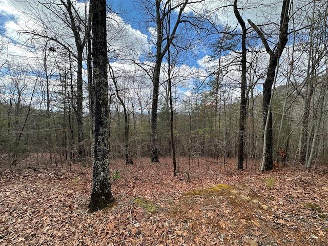 139 Foxfire Dr Property Photo 1