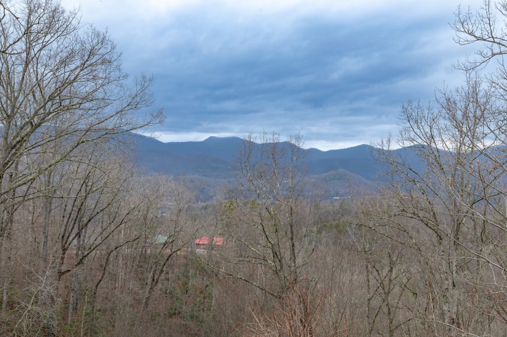 643 Zekes Trail Property Photo 4