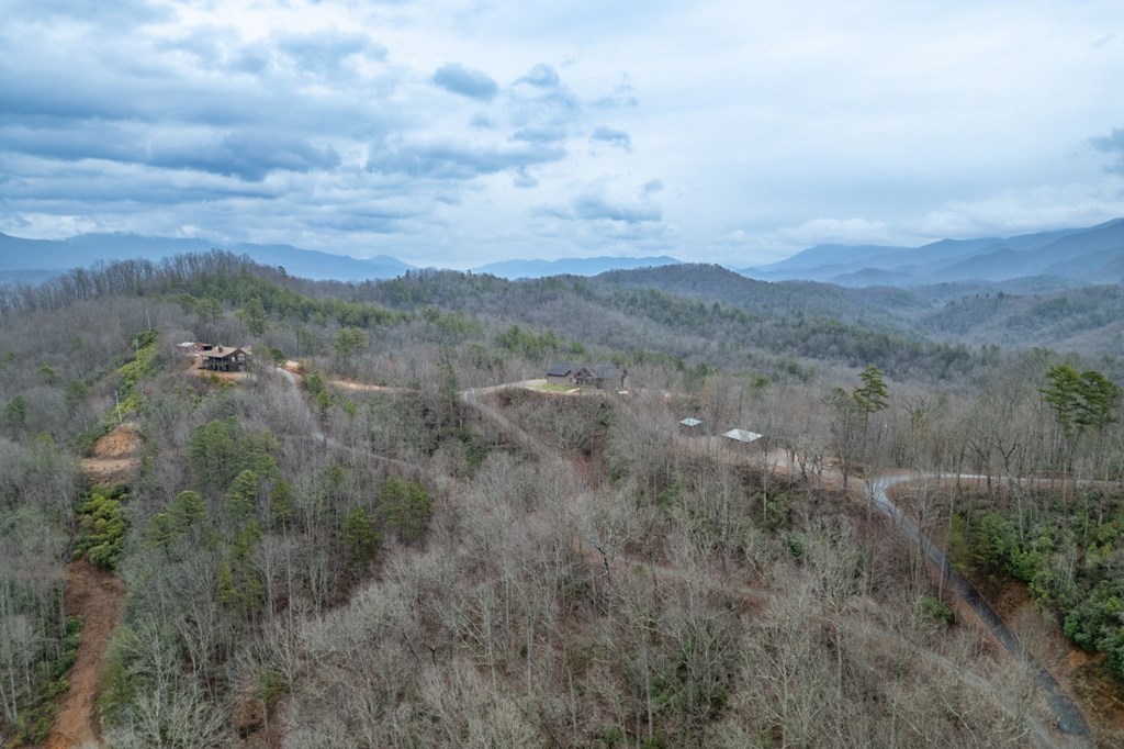 643 Zekes Trail Property Photo 37