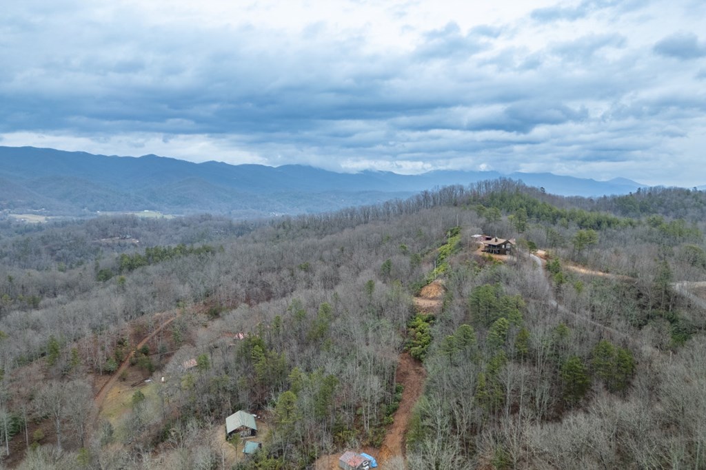 643 Zekes Trail Property Photo 38