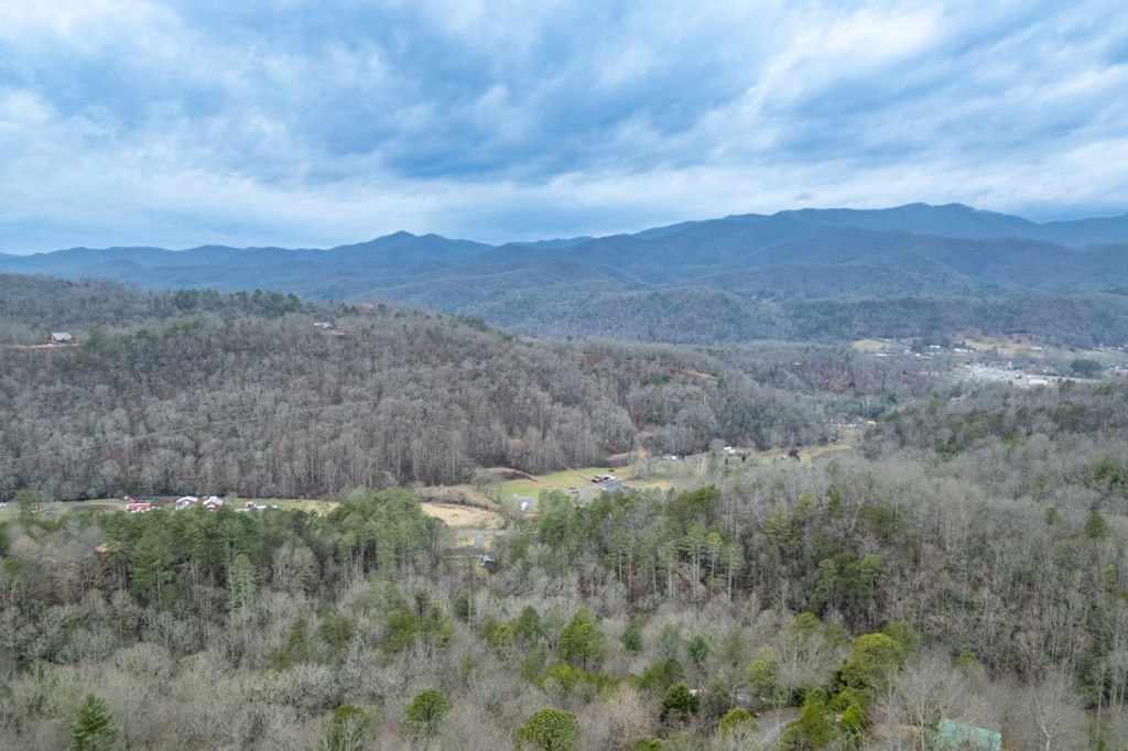 643 Zekes Trail Property Photo 40