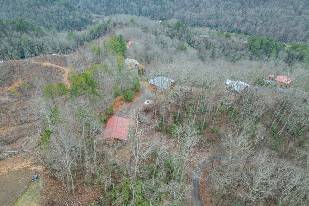 643 Zekes Trail Property Photo 41