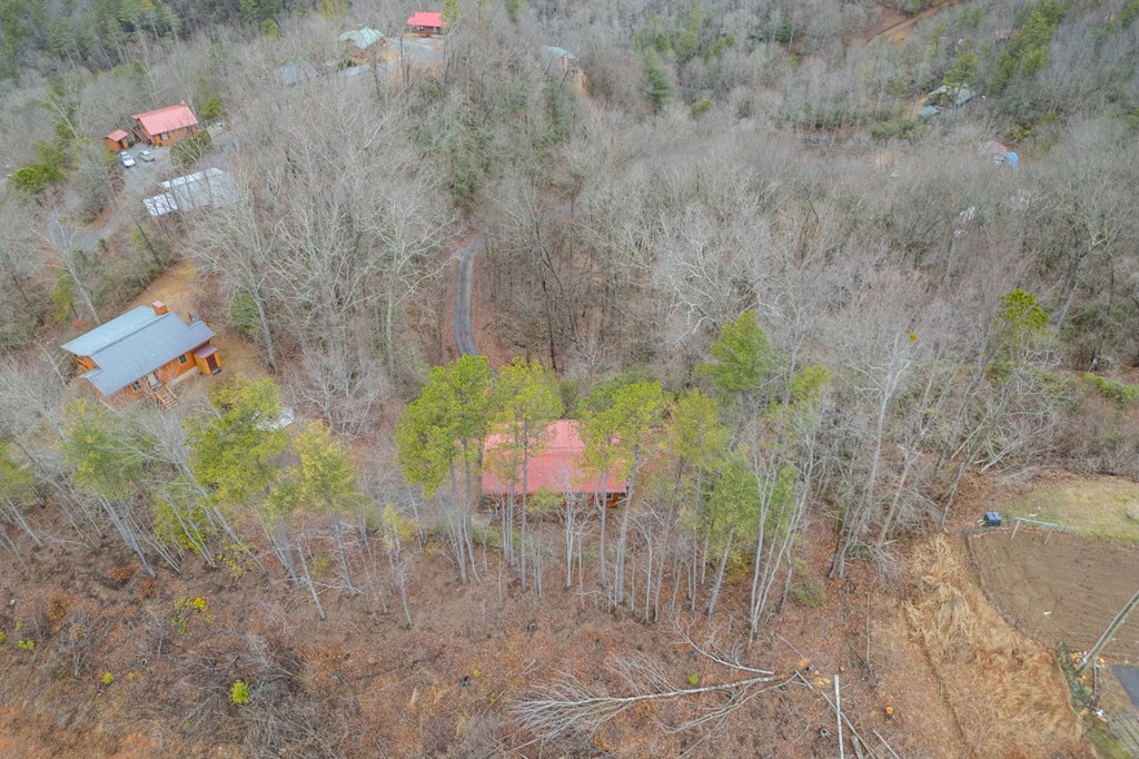 643 Zekes Trail Property Photo 42