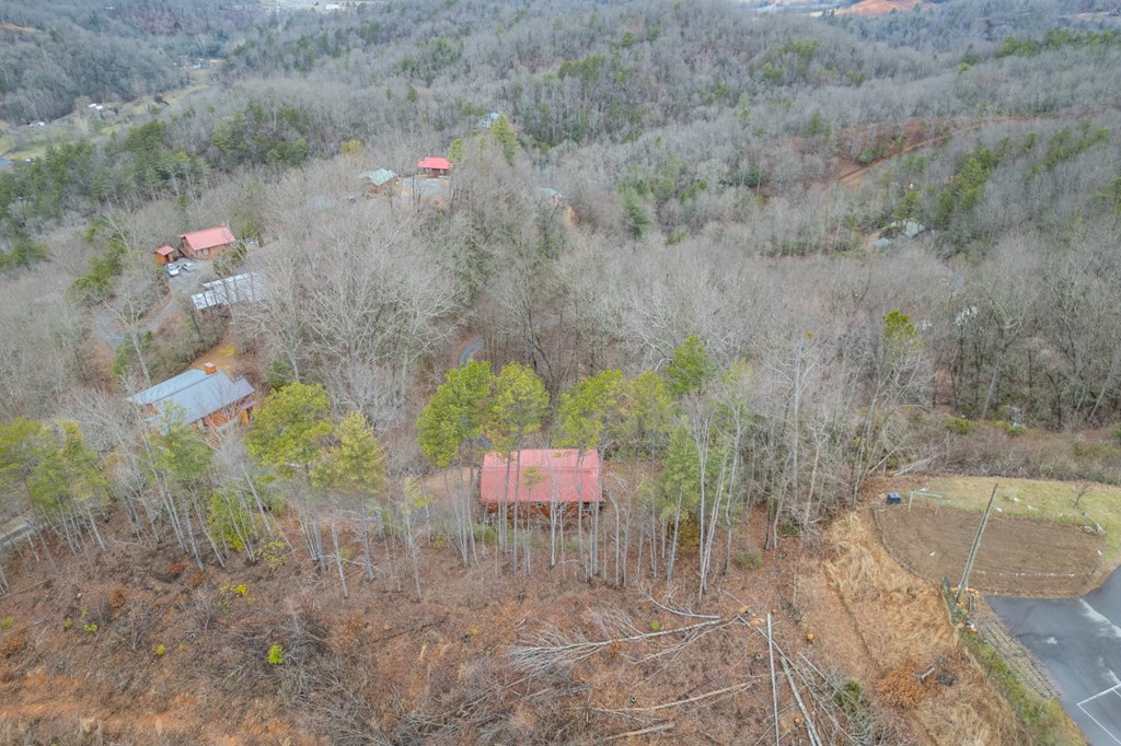 643 Zekes Trail Property Photo 43