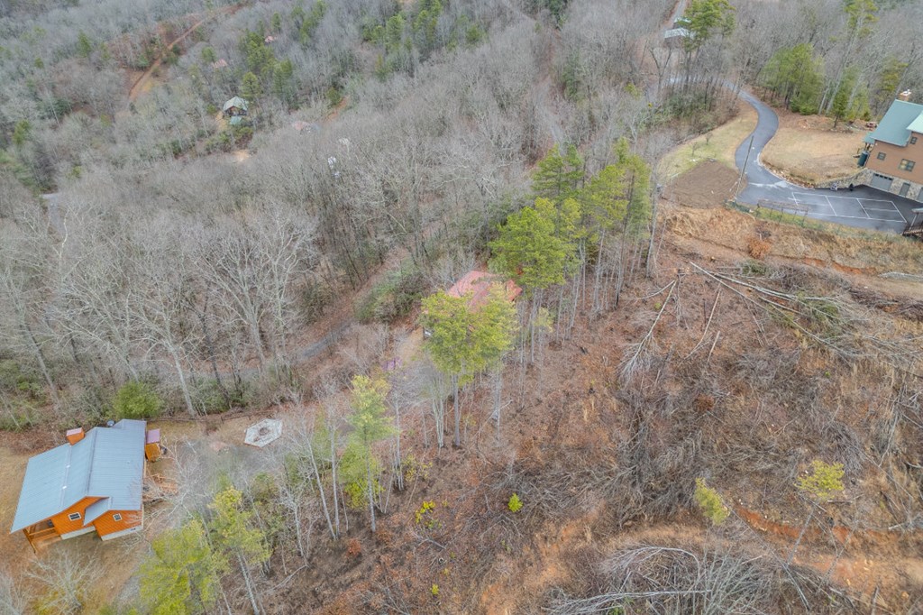 643 Zekes Trail Property Photo 44