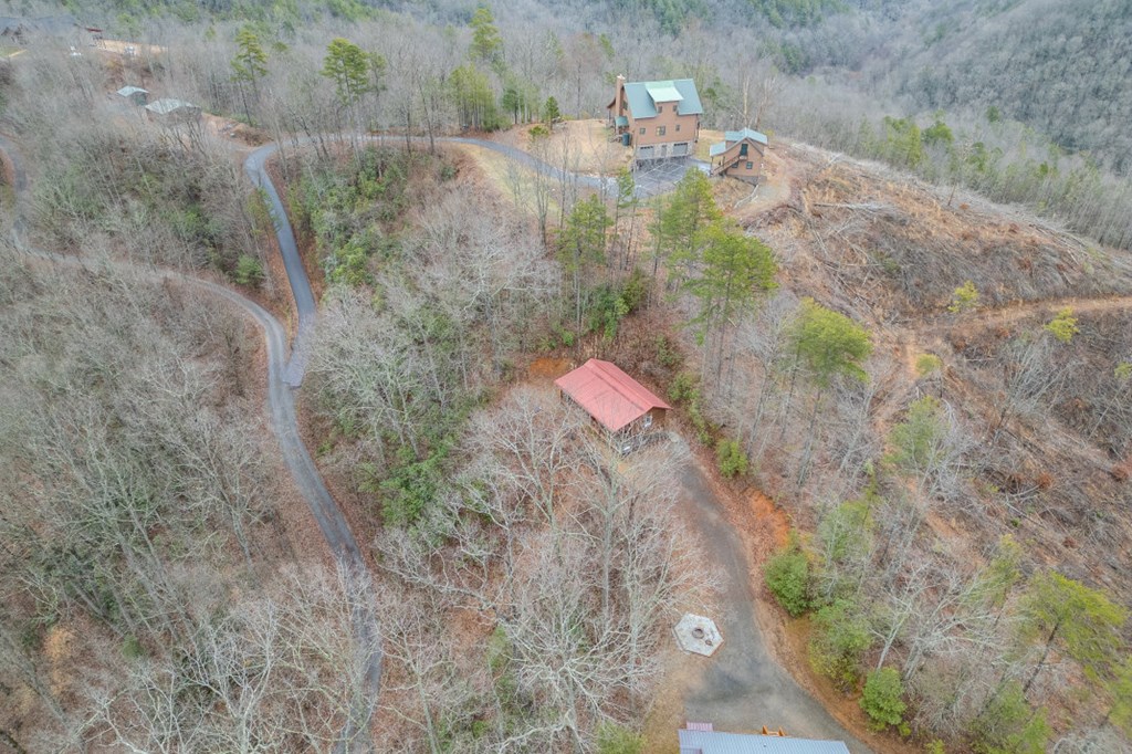 643 Zekes Trail Property Photo 46
