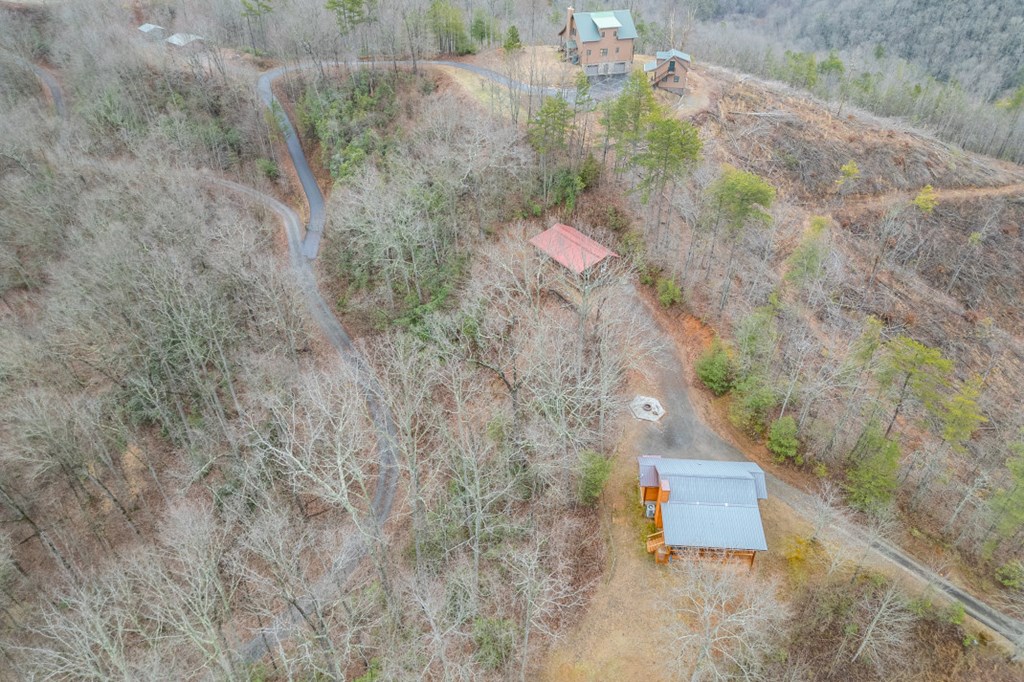 643 Zekes Trail Property Photo 47