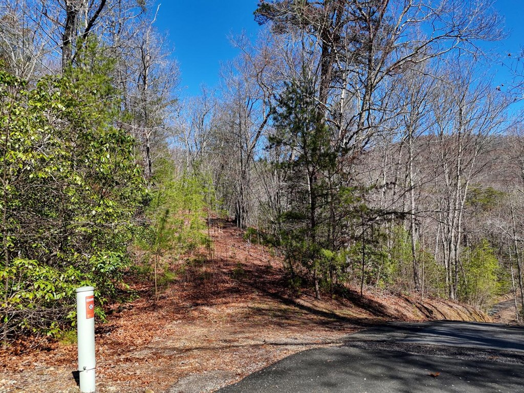 00 Mission Ridge Court Property Photo 3