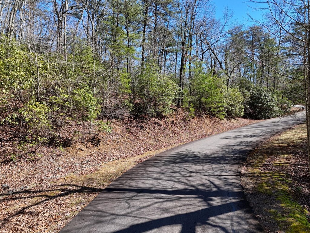 00 Mission Ridge Court Property Photo 8
