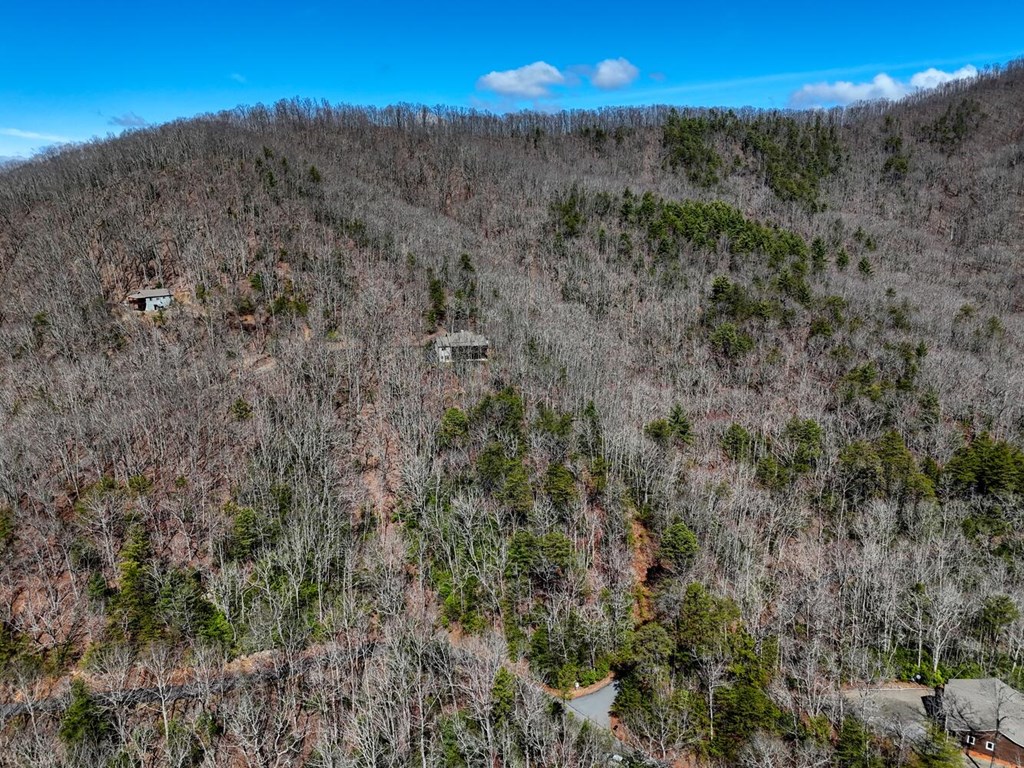 00 Mission Ridge Court Property Photo 13
