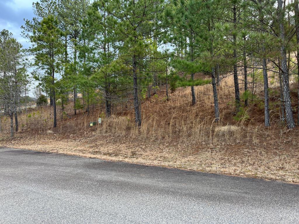 Lot 39 Pinehurst Property Photo