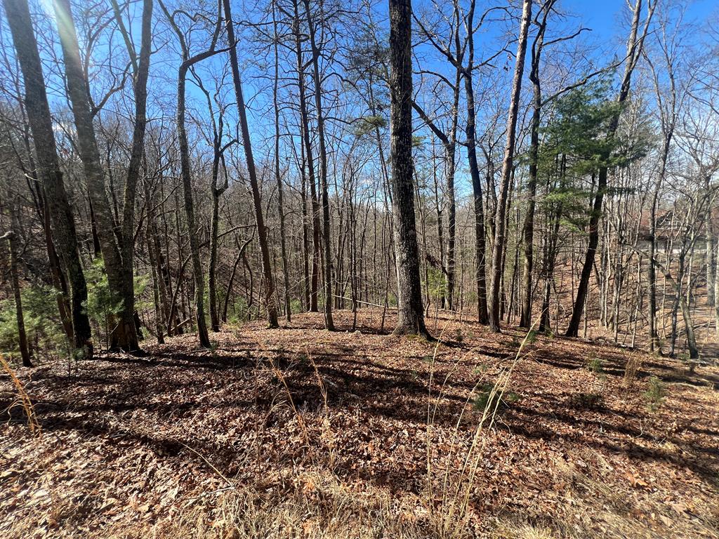 Lot 6 Mountain Drive Property Photo 1