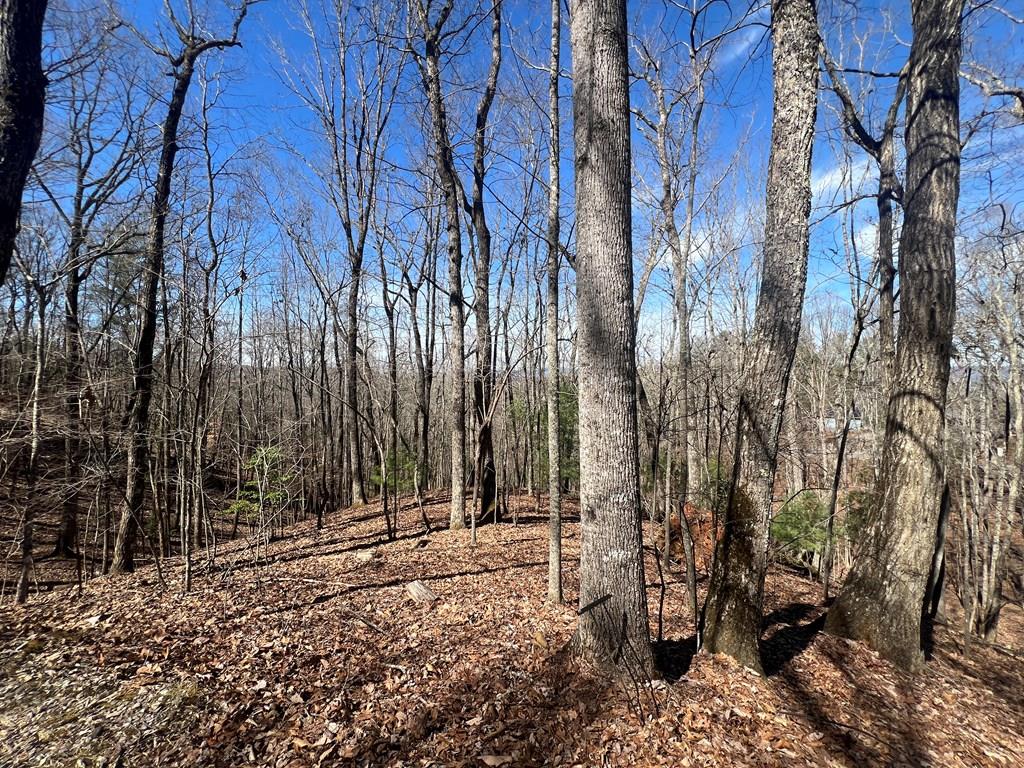Lot 7 Mountain Drive