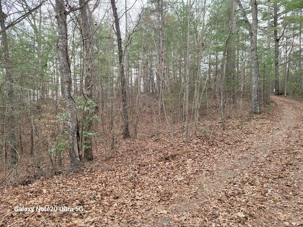 Tbd Owassa Rd Property Photo 1