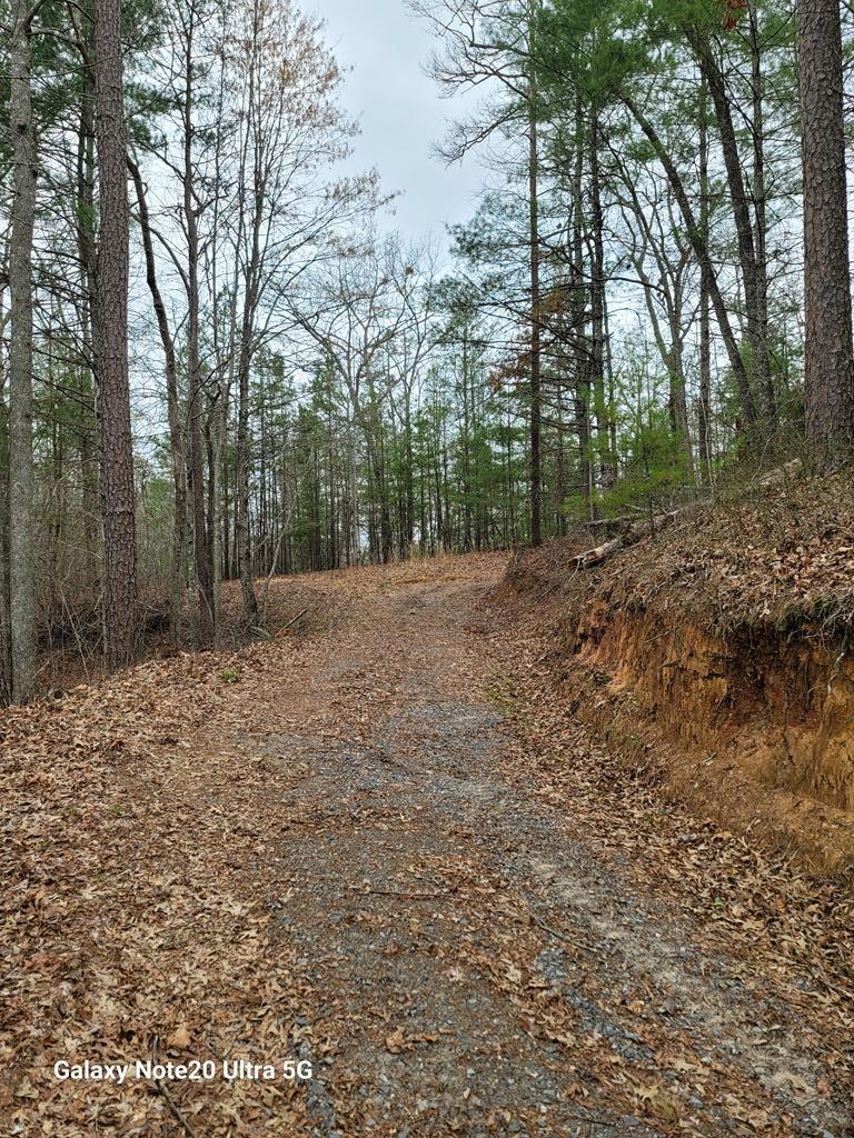 Tbd Owassa Rd Property Photo 2