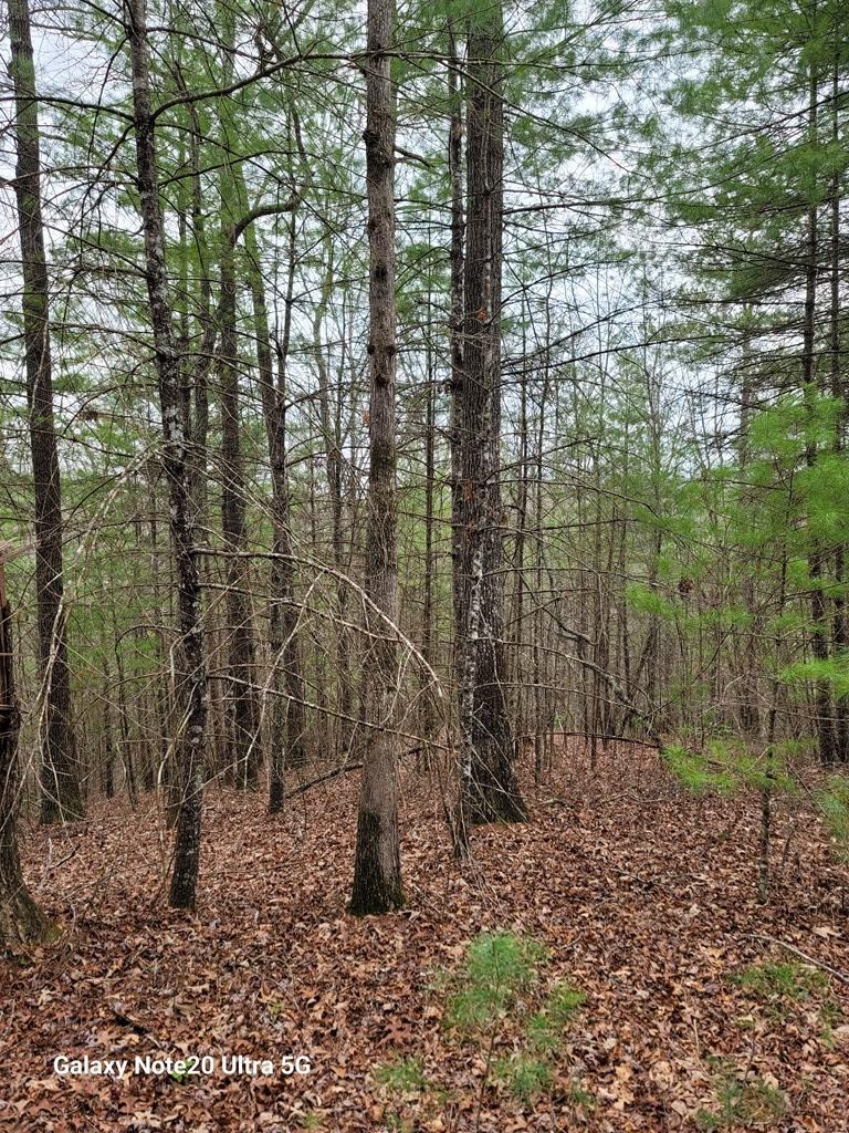Tbd Owassa Rd Property Photo 3