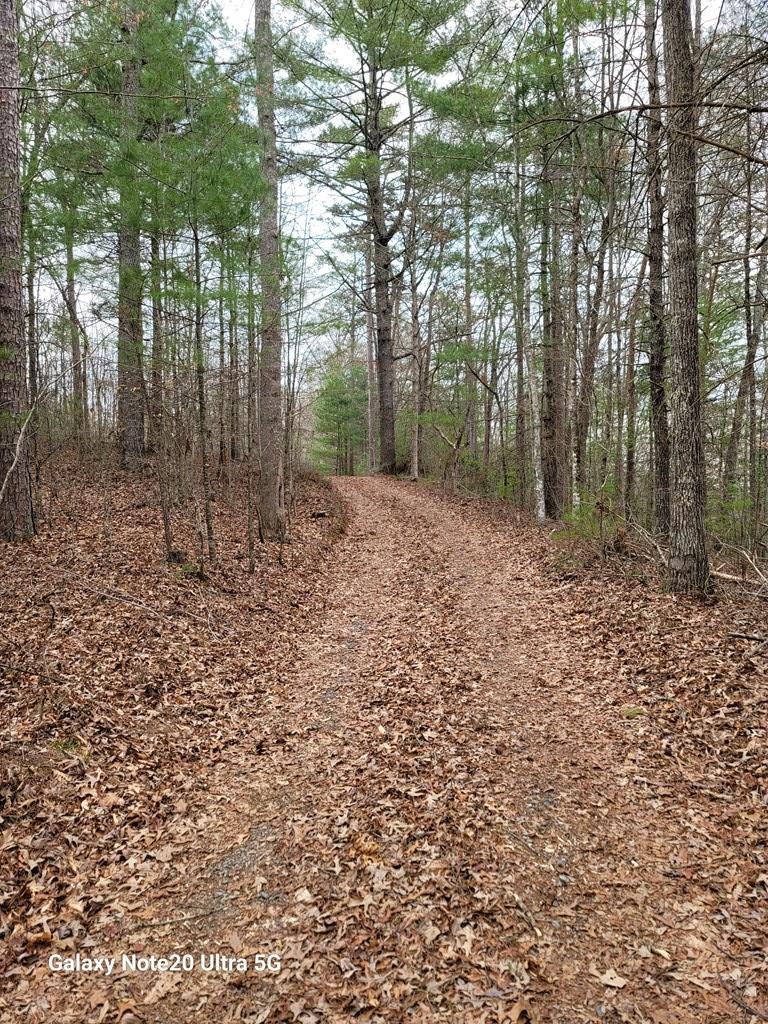 Tbd Owassa Rd Property Photo 4