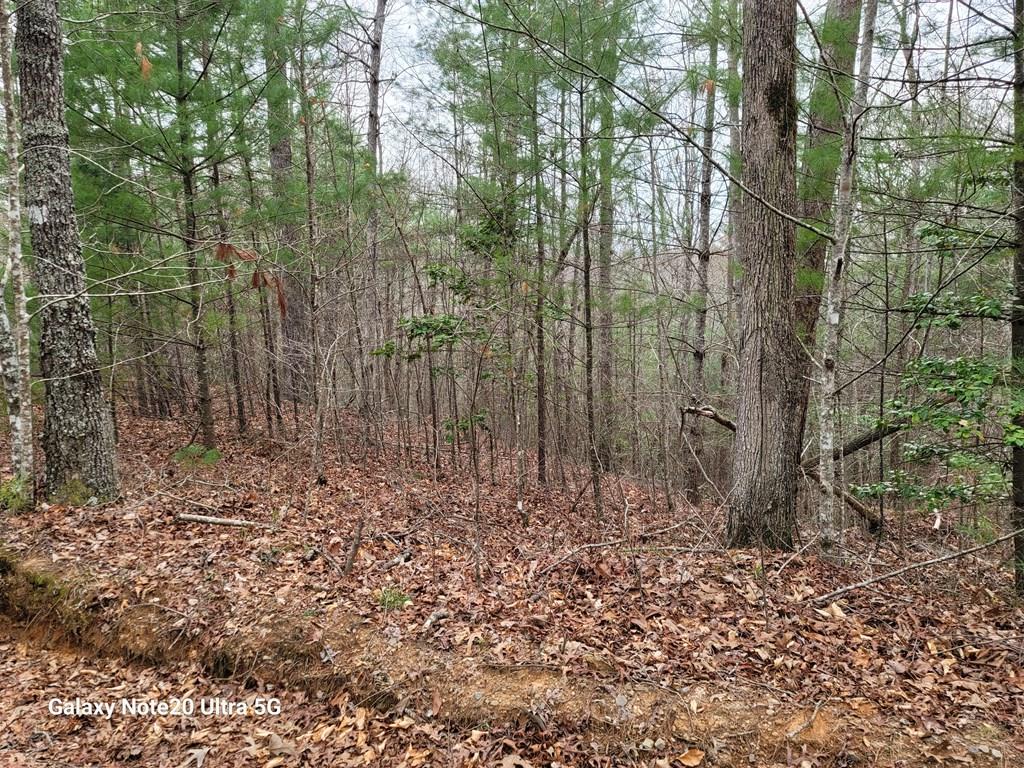 Tbd Owassa Rd Property Photo 5