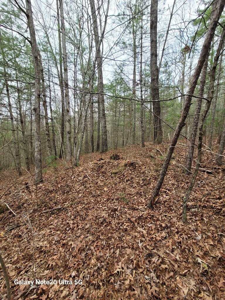 Tbd Owassa Rd Property Photo 6