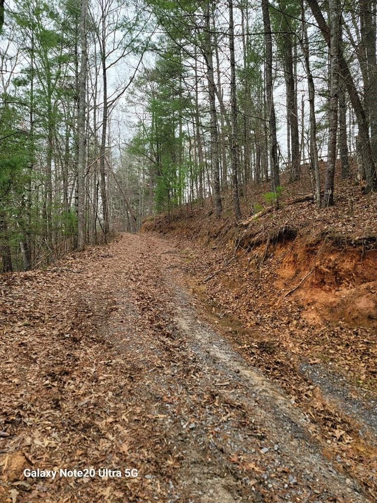 Tbd Owassa Rd Property Photo 8