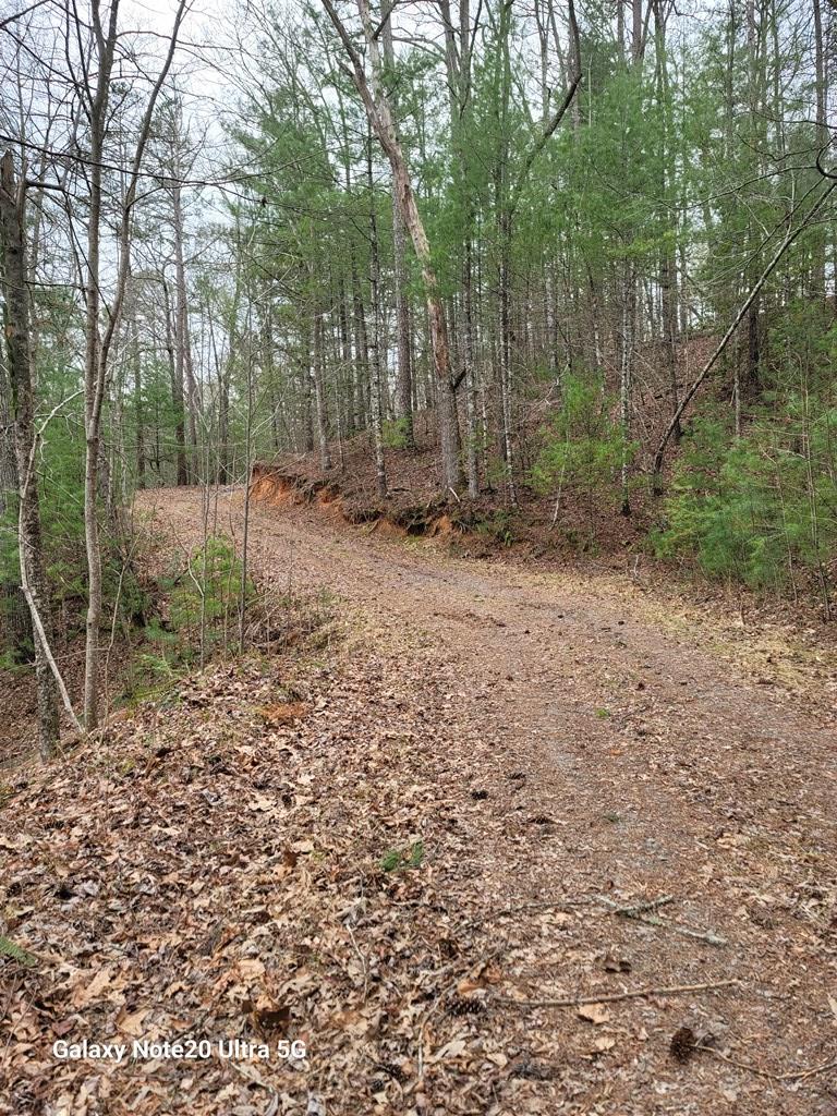 Tbd Owassa Rd Property Photo 9
