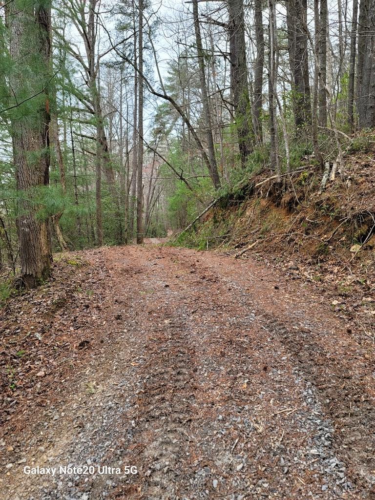 Tbd Owassa Rd Property Photo 12