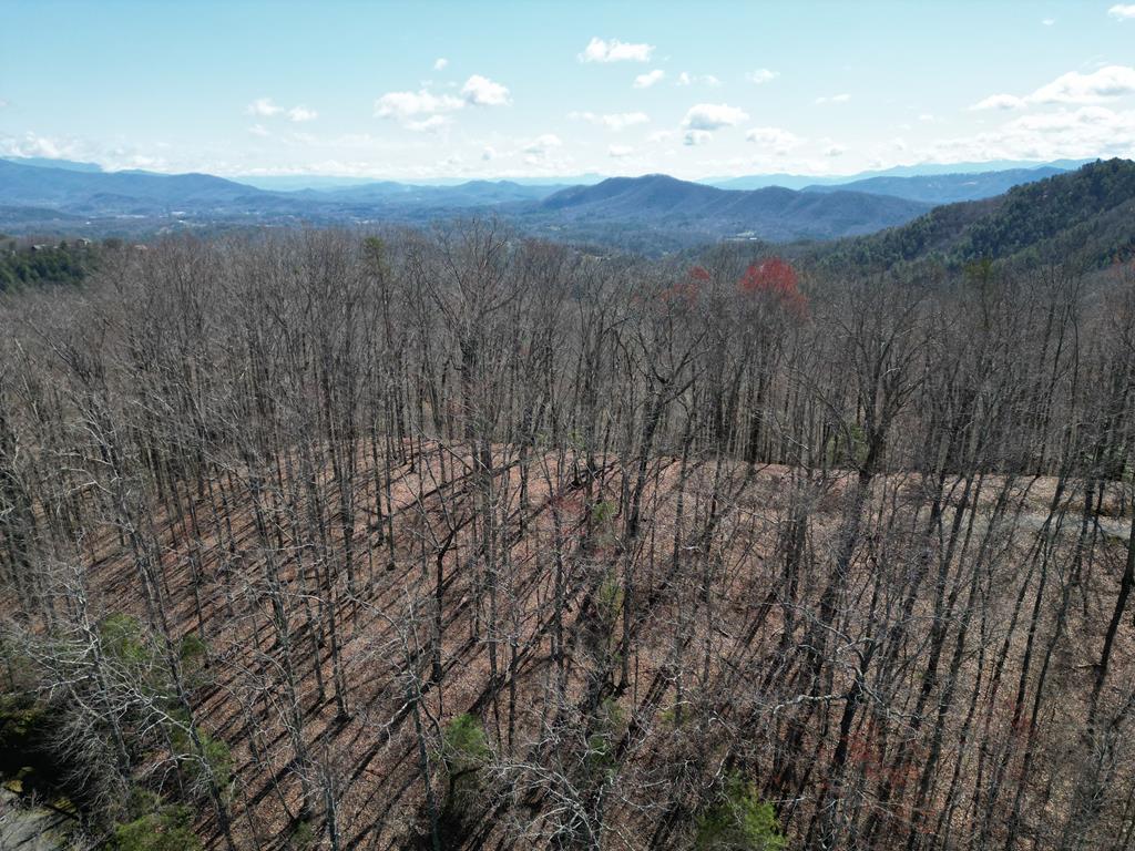Lot 54 Somerset Ridge Drive Property Photo