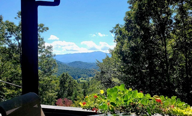 492-500 Holloway Road Property Photo 32