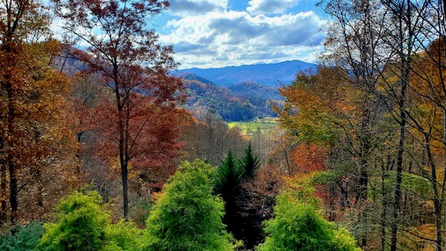 492-500 Holloway Road Property Photo 72
