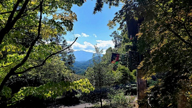 492-500 Holloway Road Property Photo 73