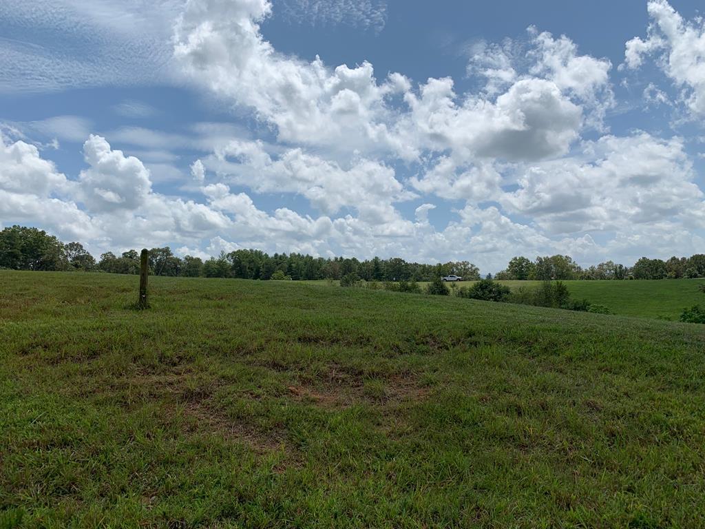 Lot 112 Fox Lake Property Photo