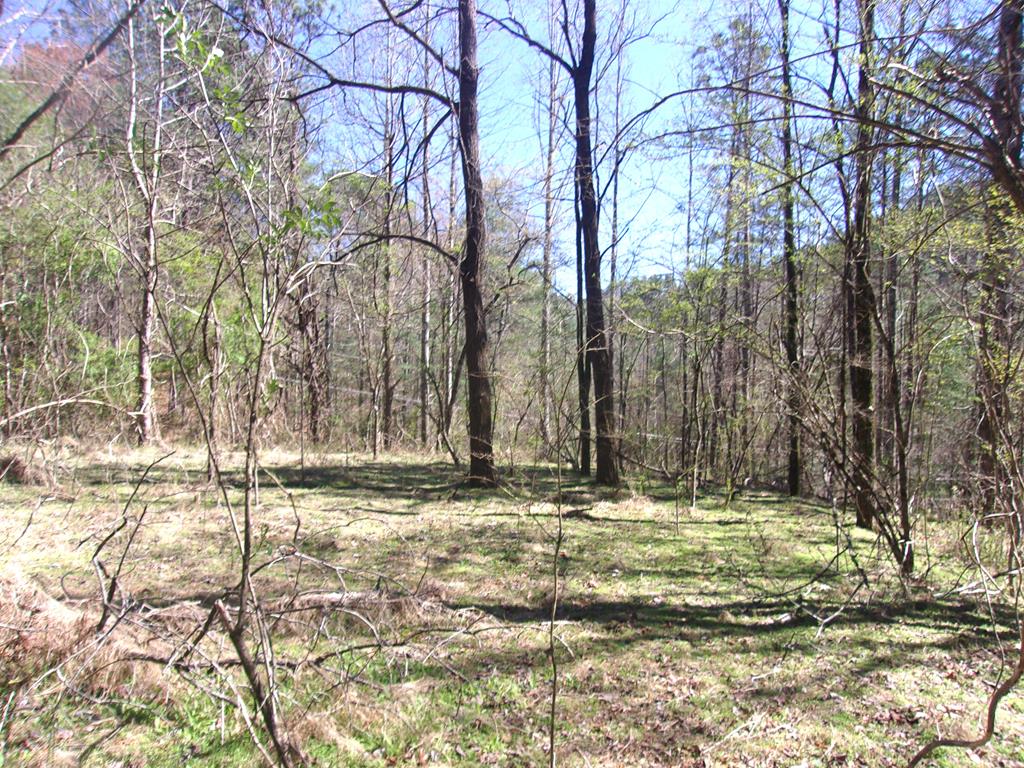 75 Blue Jay Ln Property Photo