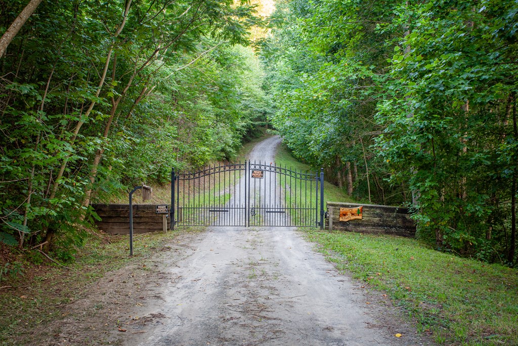 241 Santeetlah Heights Dr. Property Photo 2