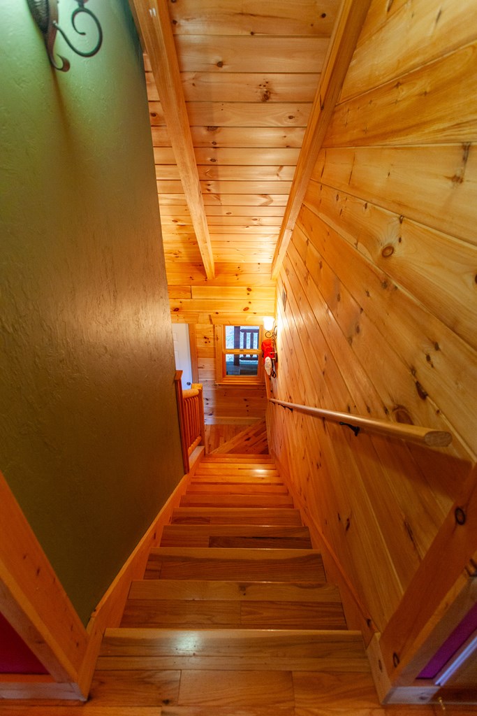 241 Santeetlah Heights Dr. Property Photo 23