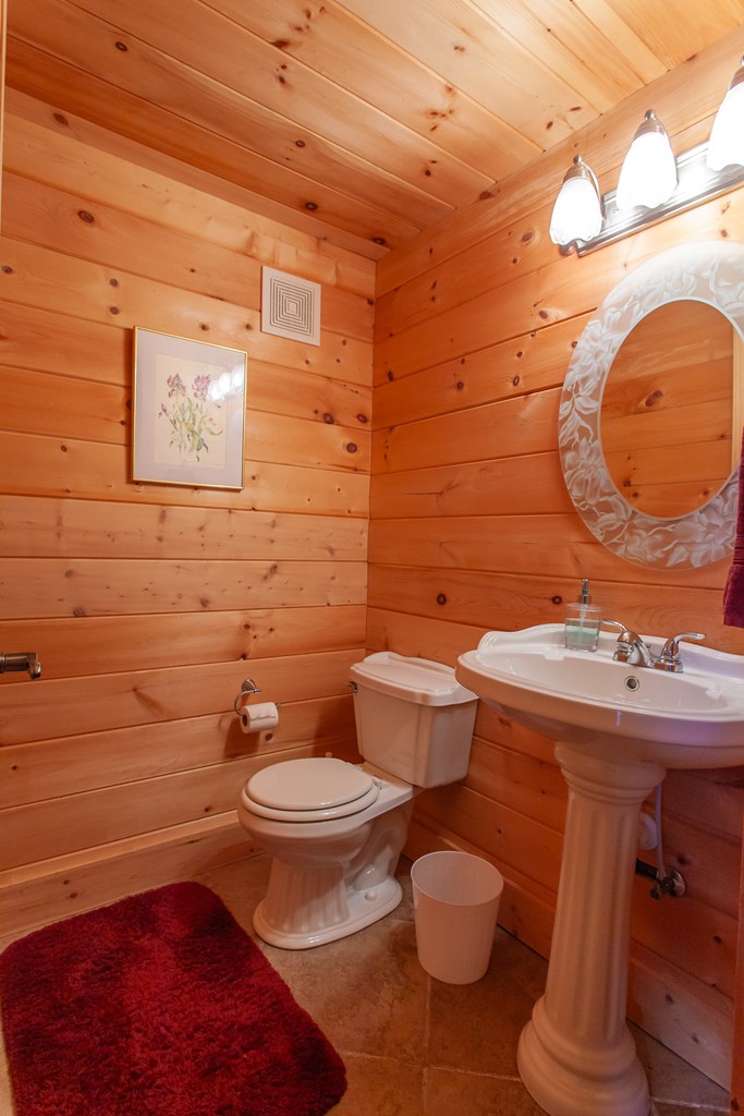 241 Santeetlah Heights Dr. Property Photo 25