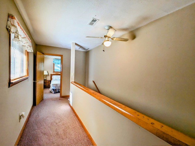 238 Lakeview Dr Property Photo 16