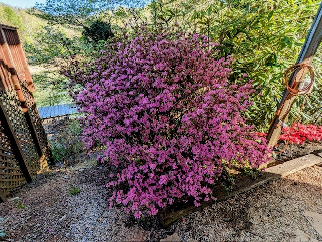 238 Lakeview Dr Property Photo 28