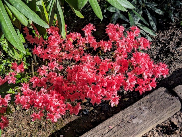 238 Lakeview Dr Property Photo 29