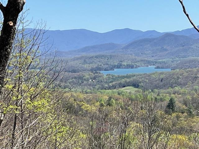 Lot 11 Longview Drive Property Photo
