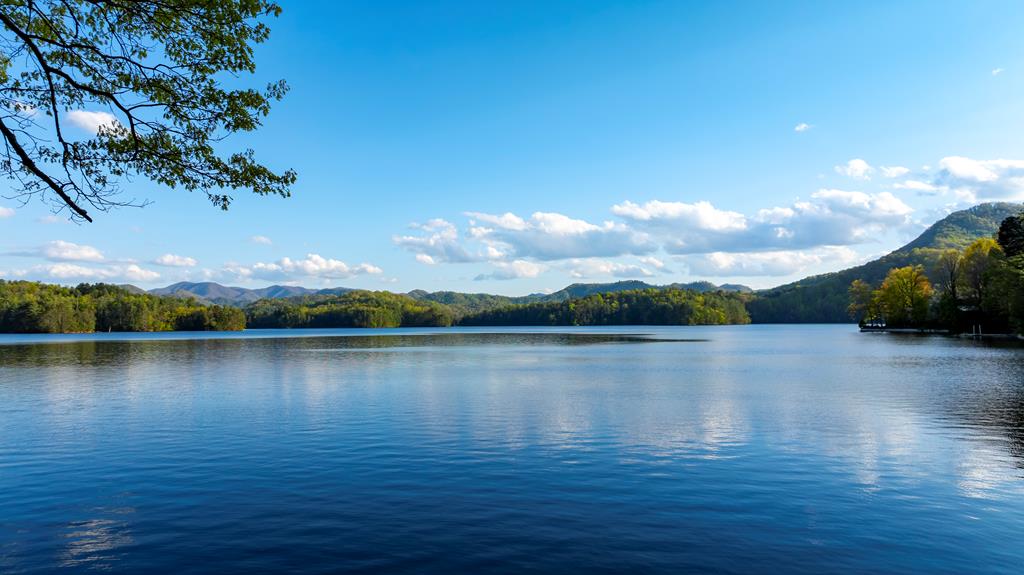 10 Santeetlah Lakeside Property Photo