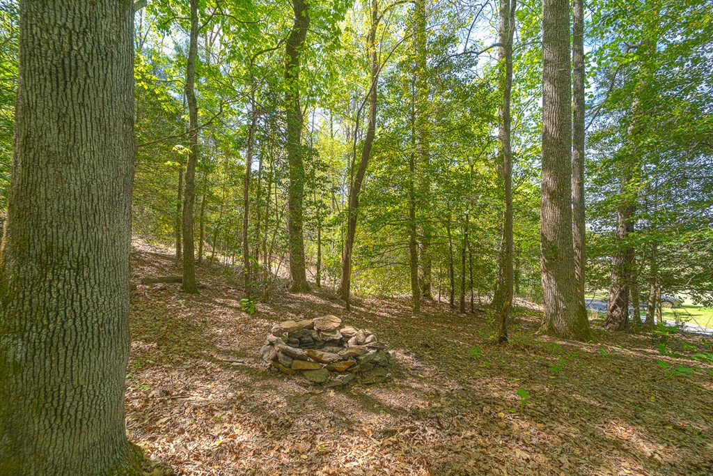 310 Bill Barker Rd. Property Photo 25